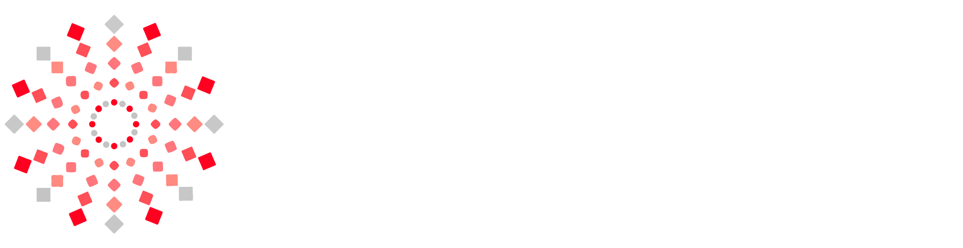 Partner 03